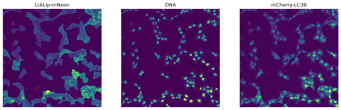 _images/175d6b5603d5462e5c268c60e64bb03f9e27d141548de5c4af85a6f65f907c0d.png