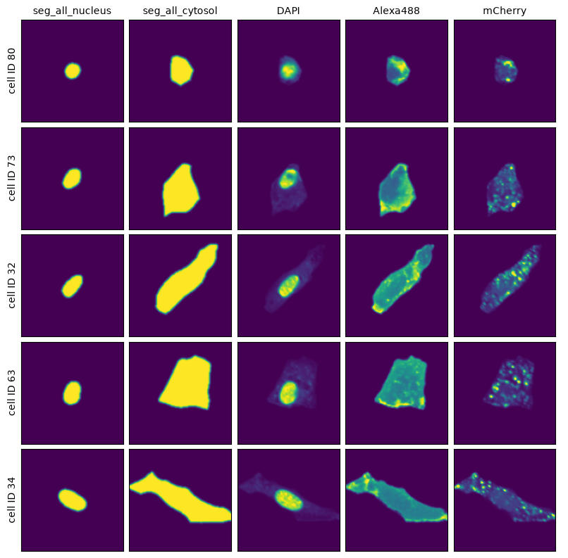 _images/2db3cf74aaa00e1ffc5c715053cb5df66a497ae7b5ad61b7dc18246da0c4f1f9.png