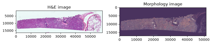 _images/3282acc71973a210909b421f9ab88ea7e2d06fd73549089737c8ad56ef34fa86.png