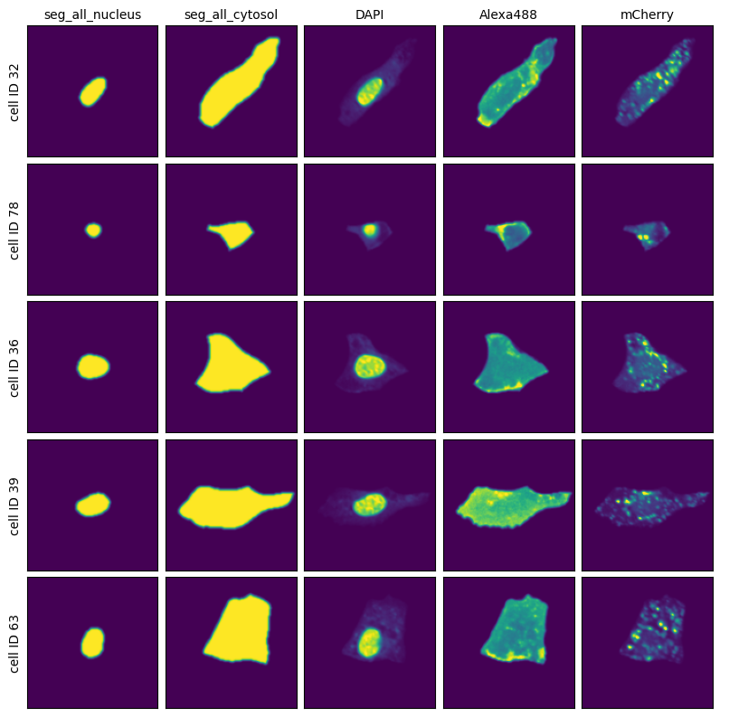 _images/97797618f136aecce66ace21069fc55e347bf04b854e96f34d5f7038d08e5880.png